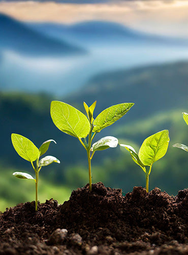 Cost-Effective Long-Term Solutions