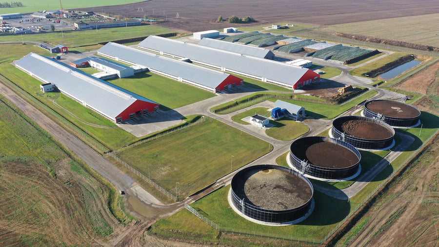 BioTech for Livestock